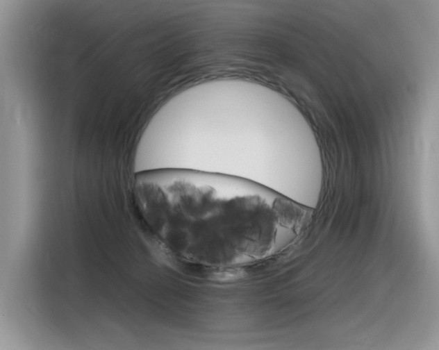 X0000116350274200912011044