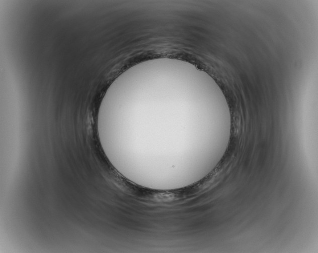 X0000116350279200912011044