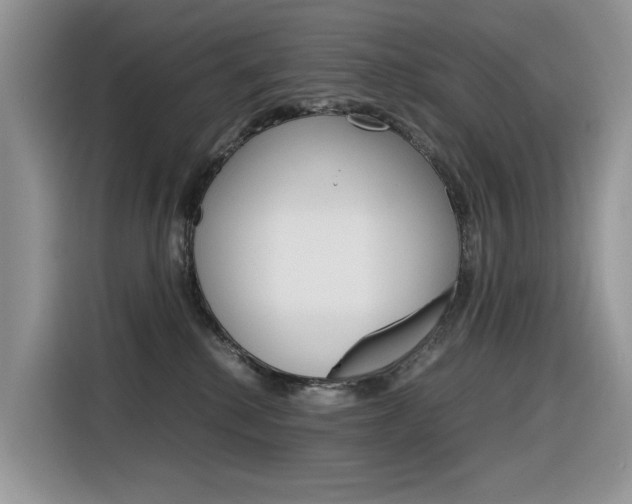 X0000116350280200912011044
