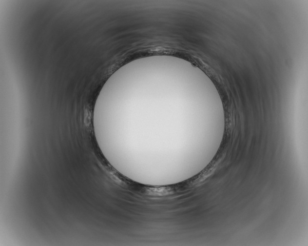 X0000116350281200912011044