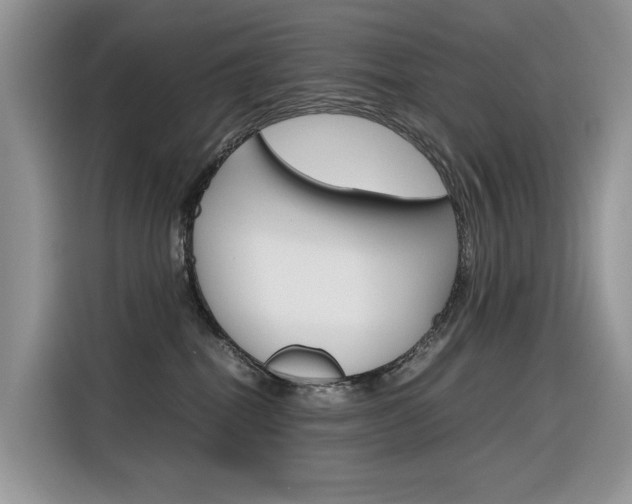 X0000116350282200912011044