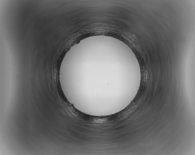 X0000116350283200912011044