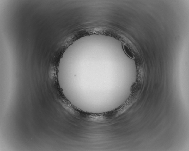 X0000116350284200912011044