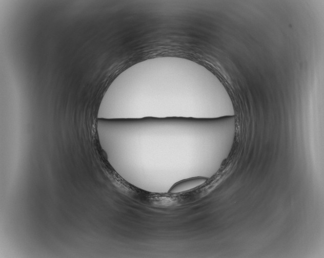 X0000116350285200912011044