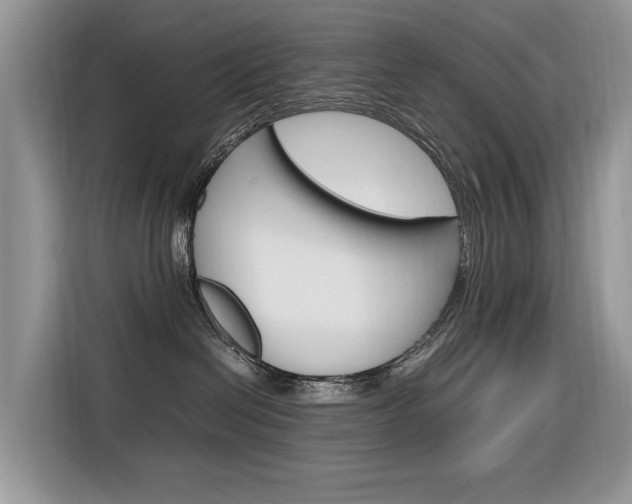 X0000116350286200912011044
