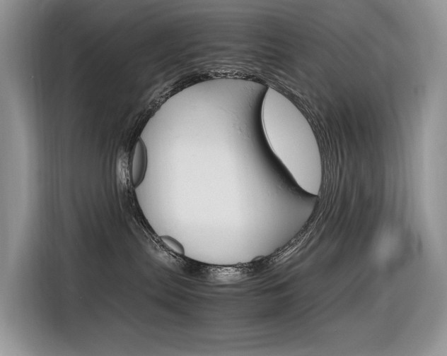 X0000116350287200912011044