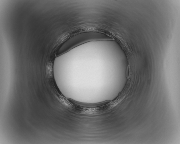 X0000116350288200912011044