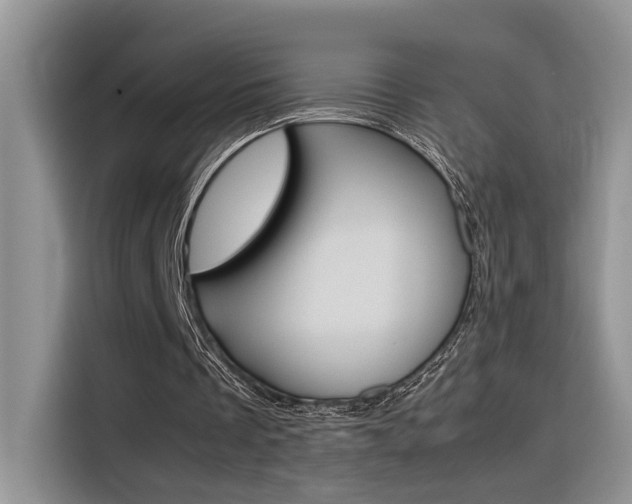 X0000116350289200912011044