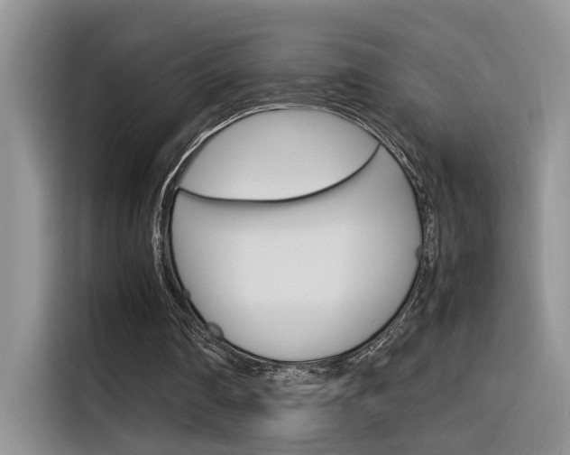 X0000116350290200912011044