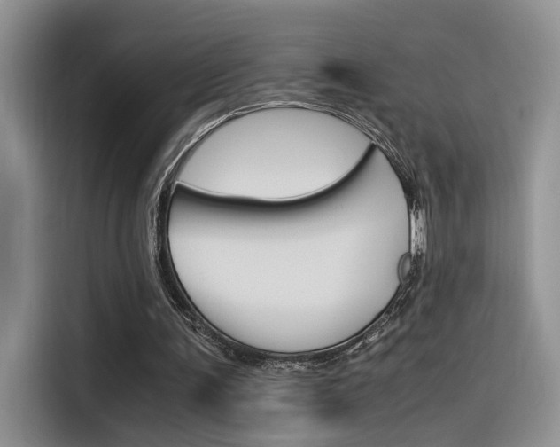 X0000116350291200912011044
