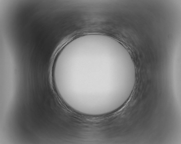 X0000116350293200912011044