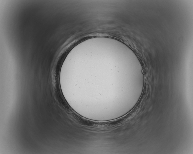 X0000116350295200912011044