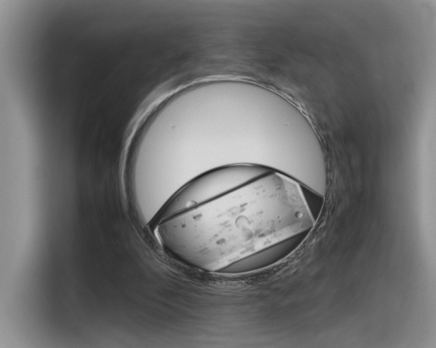 X0000116350296200912011044