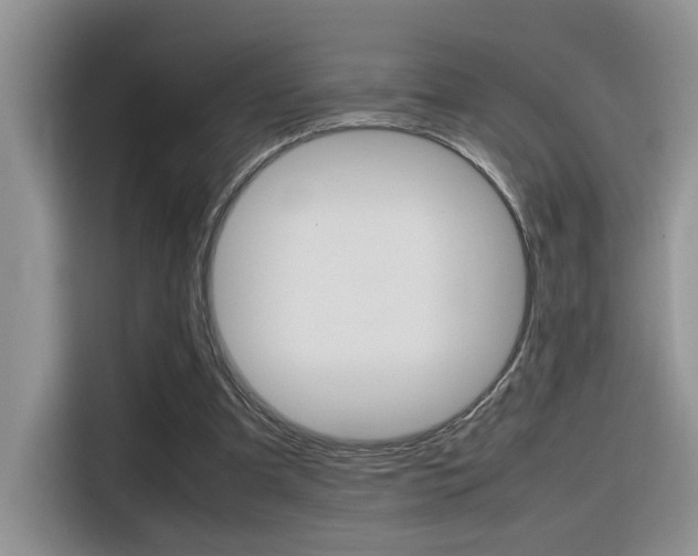 X0000116350297200912011044