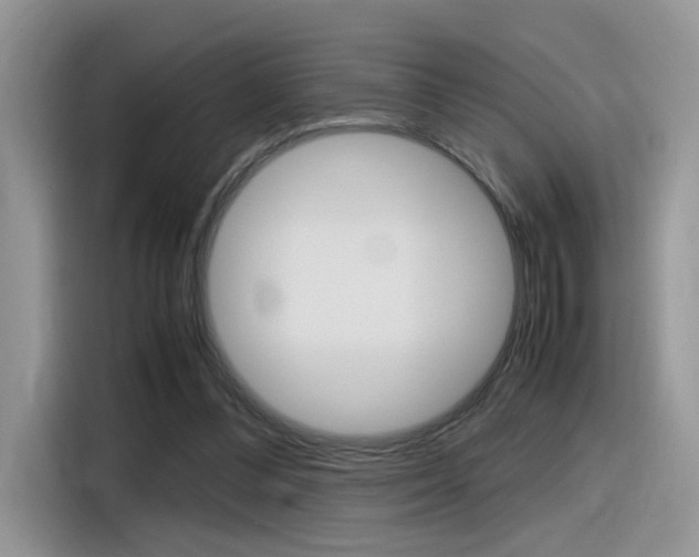 X0000116350300200912011044