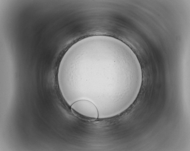 X0000116350302200912011044
