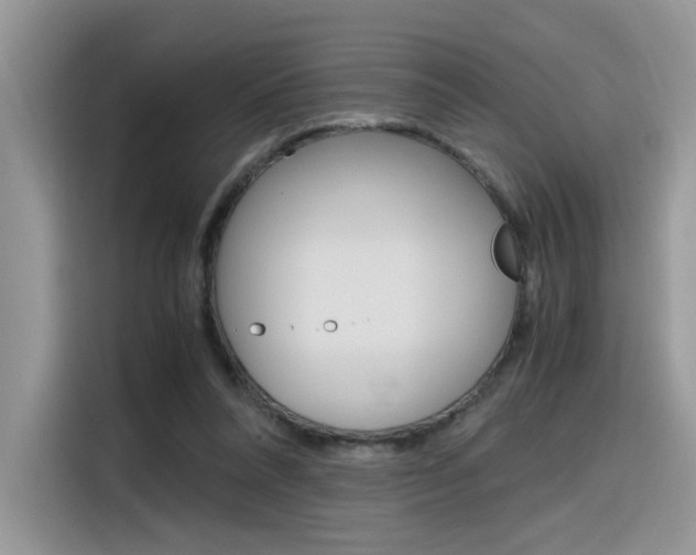 X0000116350304200912011044