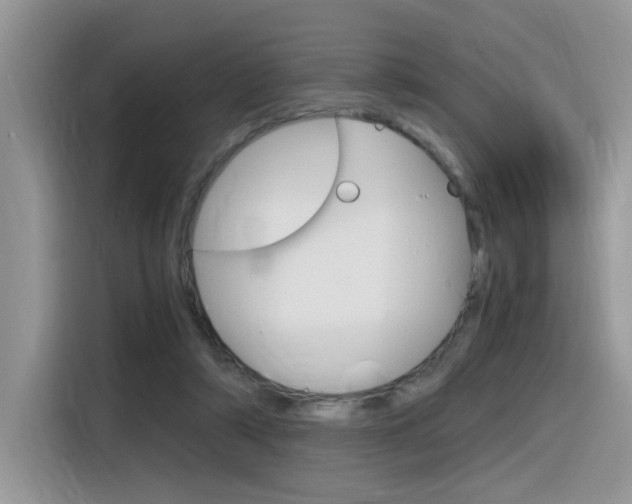 X0000116350306200912011043