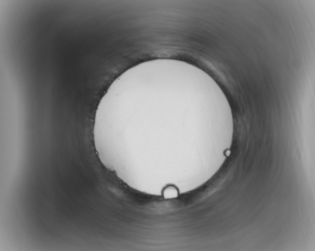 X0000116350307200912011043