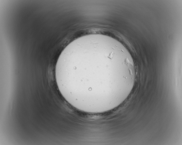 X0000116350313200912011043