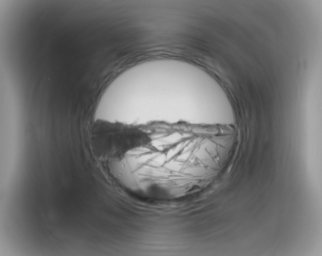 X0000116350317200912011043