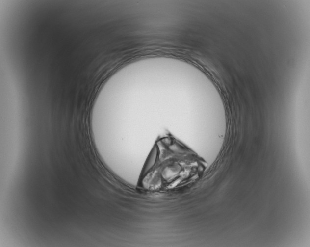 X0000116350325200912011043