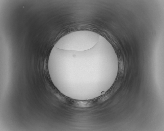 X0000116350326200912011043