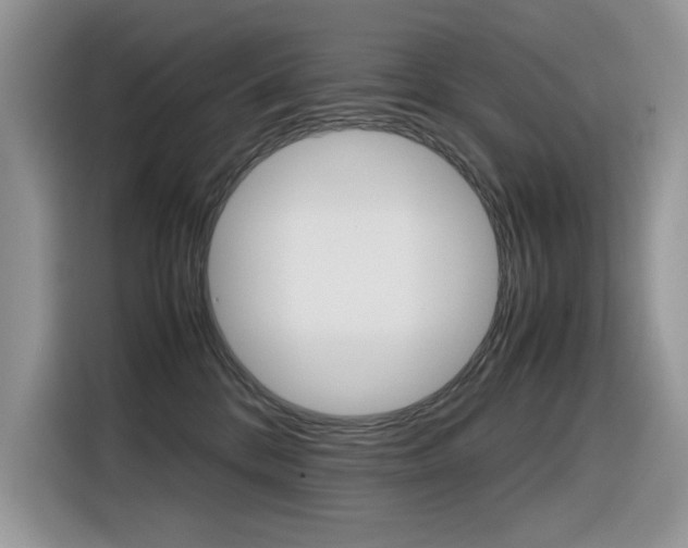 X0000116350328200912011043