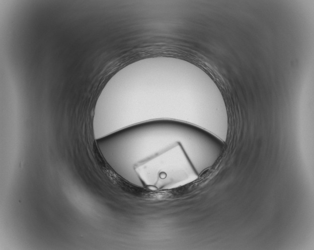 X0000116350333200912011043