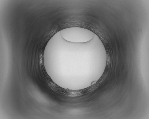 X0000116350334200912011043