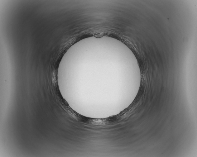 X0000116350335200912011043