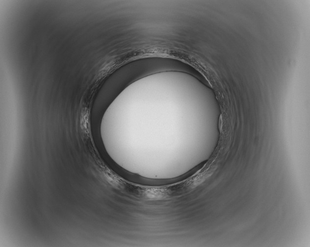 X0000116350336200912011043