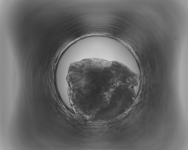 X0000116350337200912011042