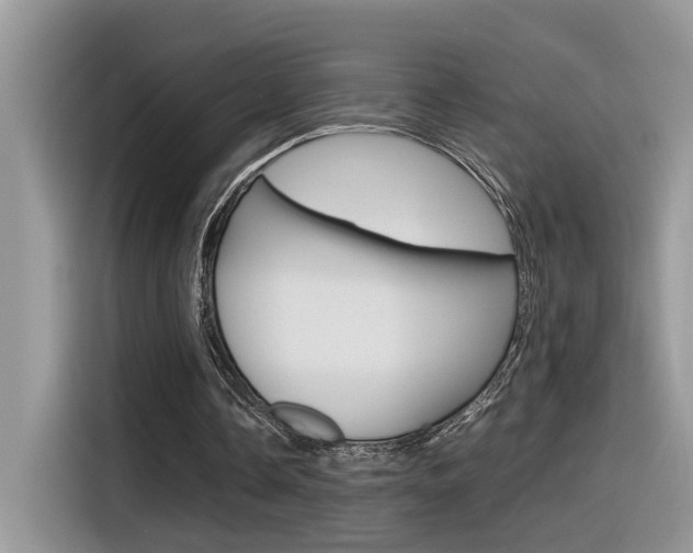 X0000116350338200912011042