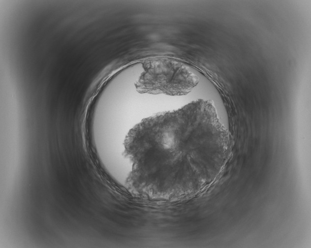 X0000116350339200912011042