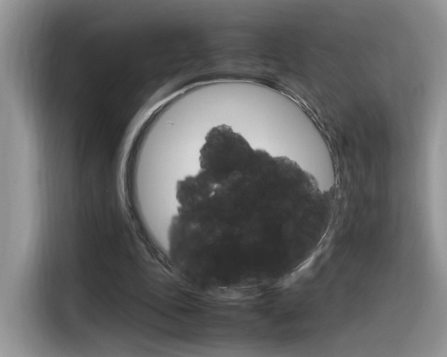 X0000116350343200912011043