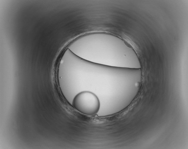 X0000116350346200912011043