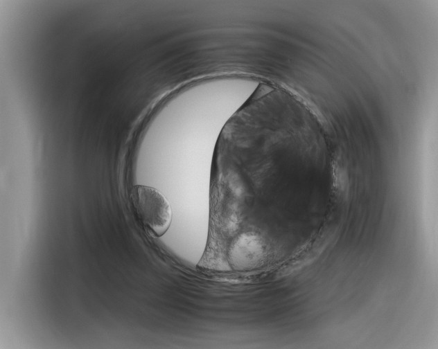 X0000116350347200912011043