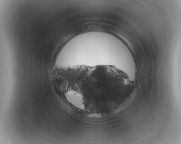 X0000116350353200912011043