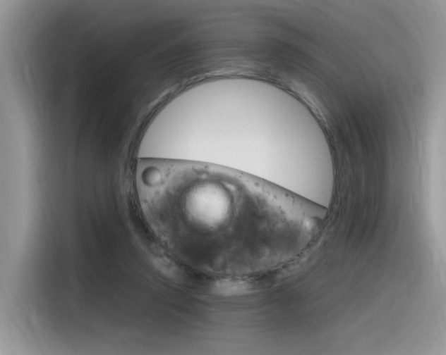 X0000116350354200912011043