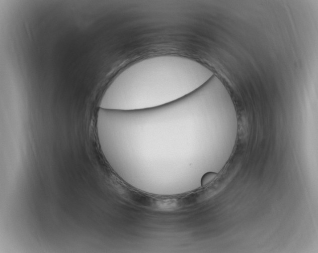 X0000116350355200912011043
