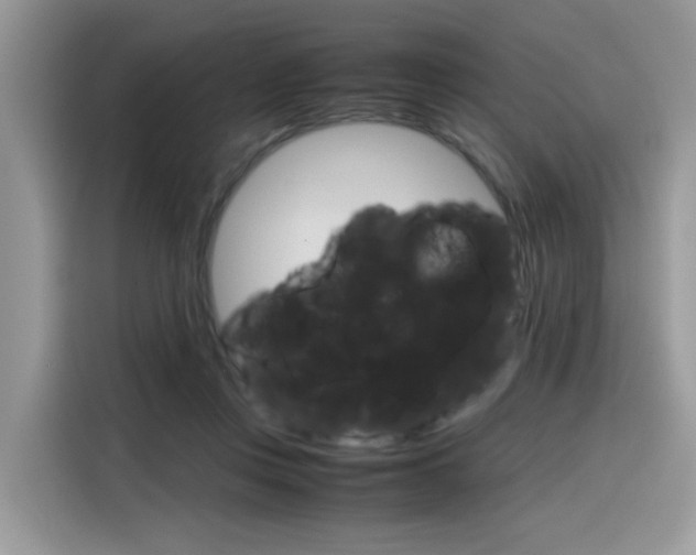 X0000116350359200912011043