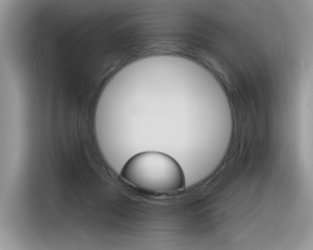 X0000116350362200912011043
