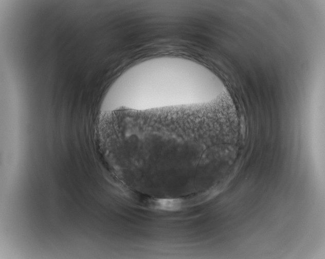 X0000116350371200912011043
