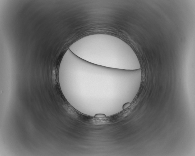 X0000116350378200912011043