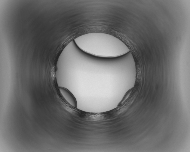 X0000116350383200912011043