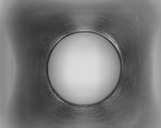 X0000116350385200912011042