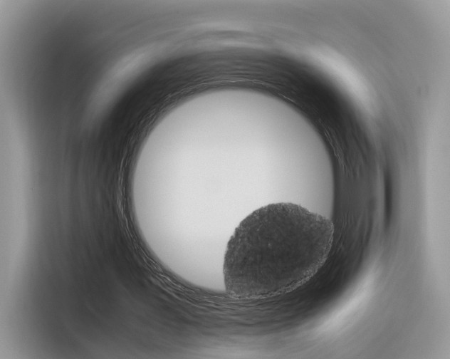 X0000116350387200912011042