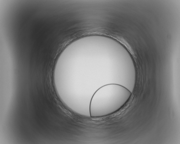 X0000116350393200912011042