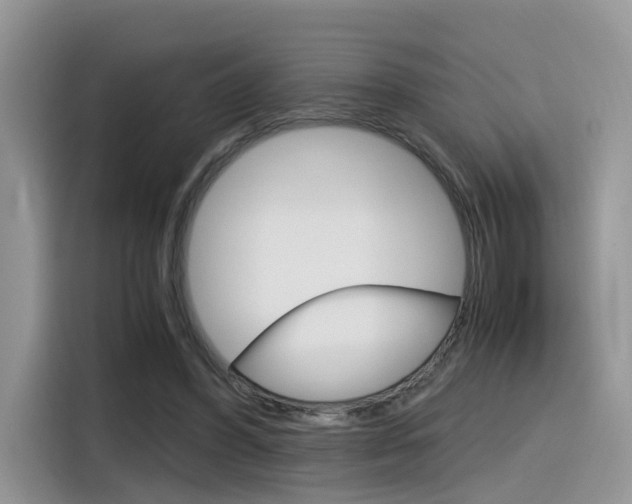 X0000116350396200912011042